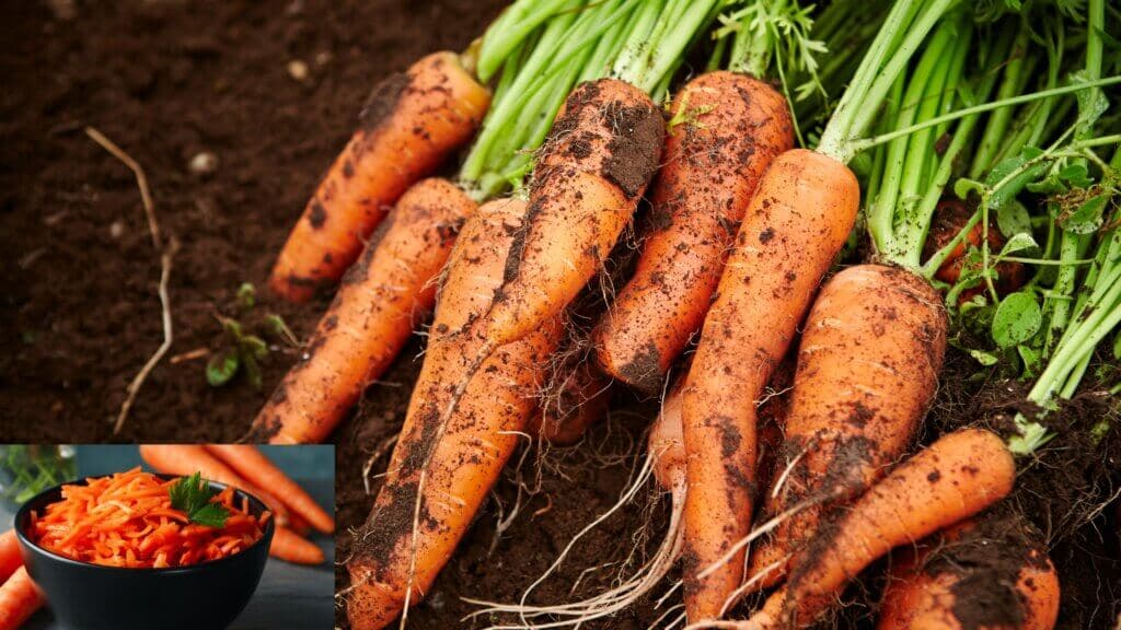 Agricultural Investment