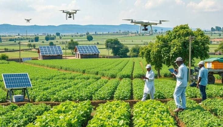 Insight Hub Farms agricultural landscape